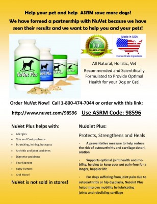 NuVet Flyer