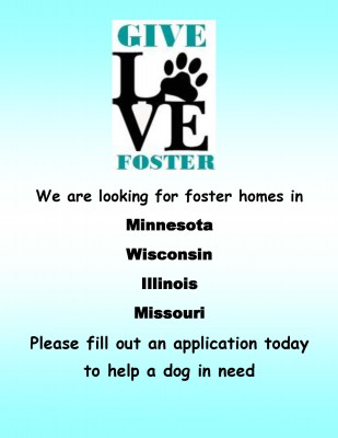 Foster homes needed flyer