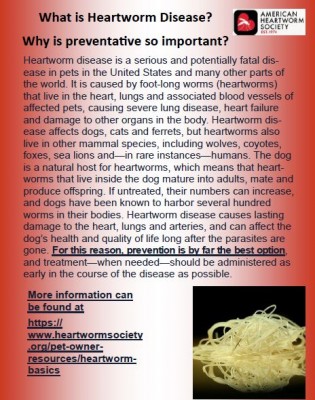 HW Info and preventative